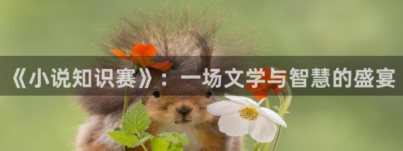 番薯小说网页版