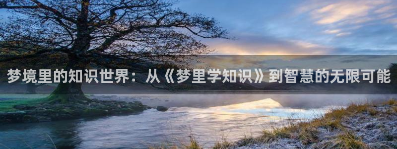 番薯小说app下载